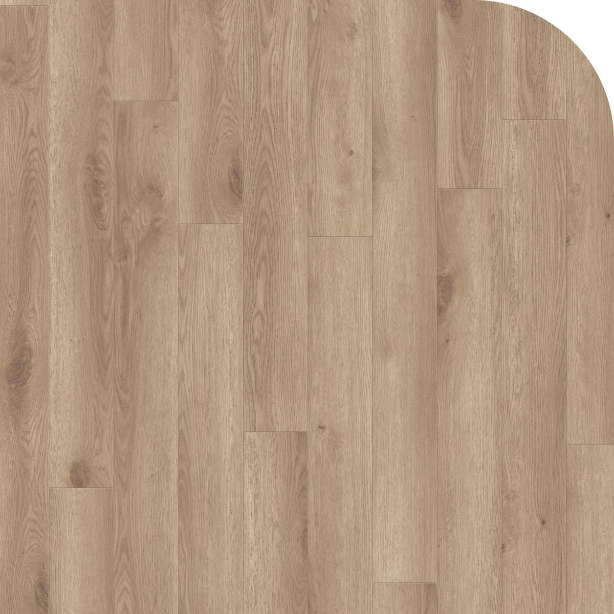 Vinylboden - Contemporary Oak Natural